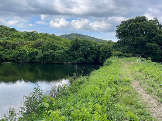 ◆新池（和歌山府中）