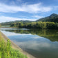 ◆長池（東剣坂町池）