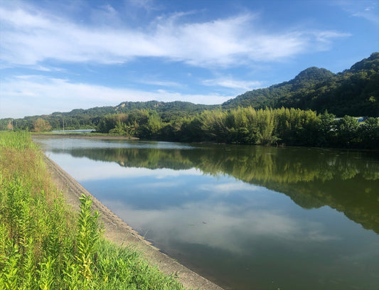 ◆長池（東剣坂町池）