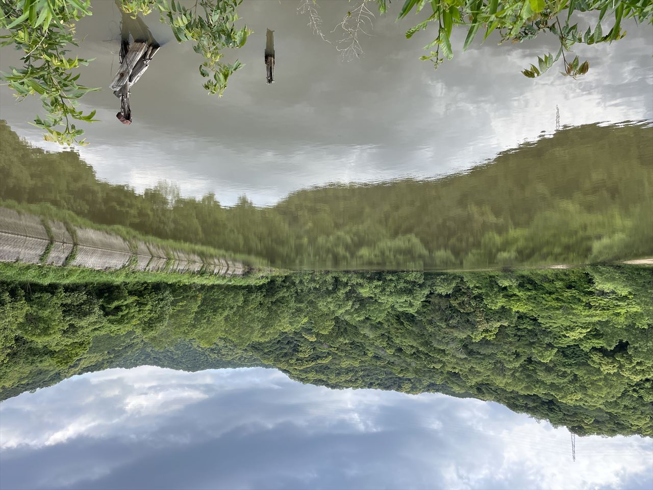 ◆平野池（和歌山府中）