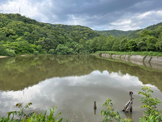 ◆平野池（和歌山府中）