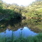 ◆東小池（中山町）