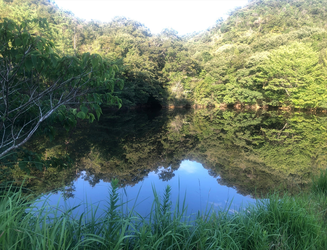 ◆東小池（中山町）