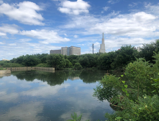 淀川河川公園溜