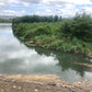 ◆三島江水門