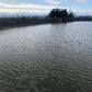 ◆地蔵池