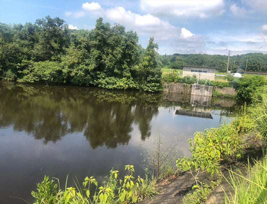 ◆呑田池