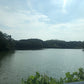 ◆坪山池