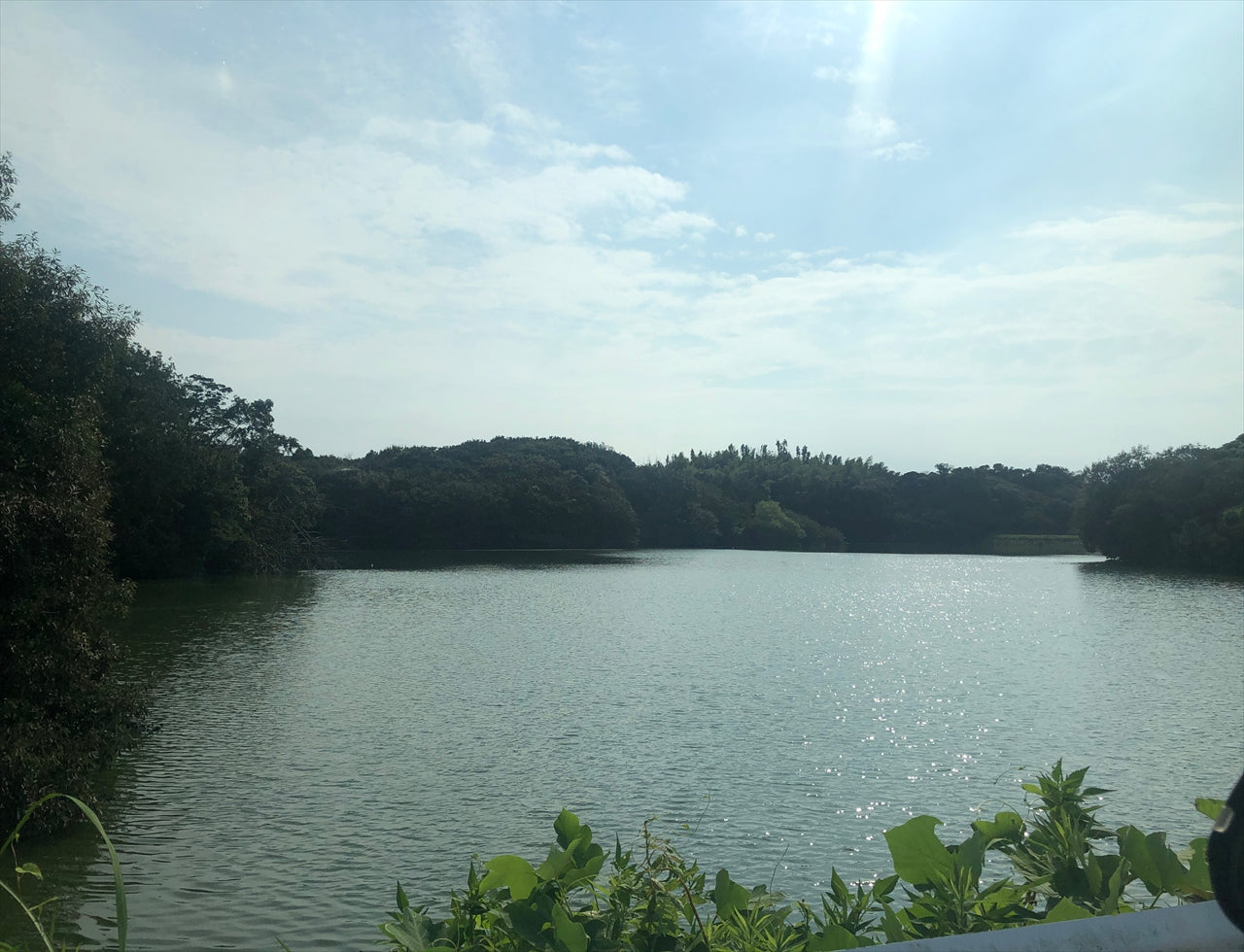 ◆坪山池