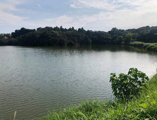 青山池