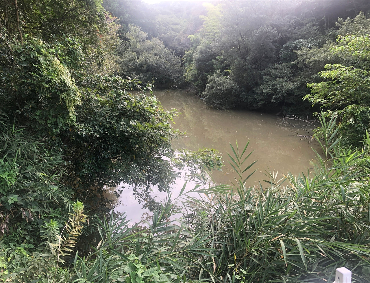 ◆野田池
