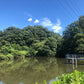 ◆古賀池