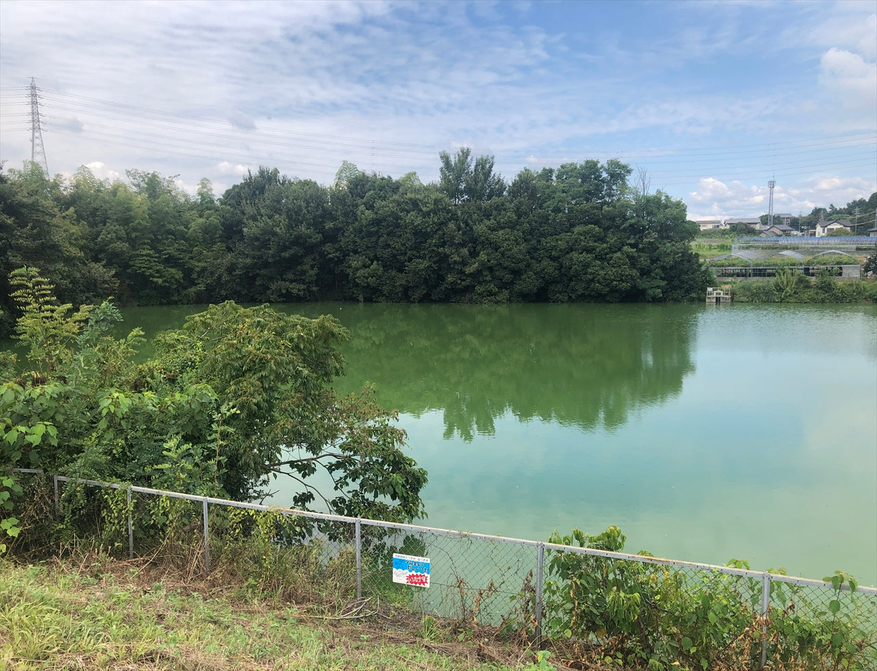 ◆後田池