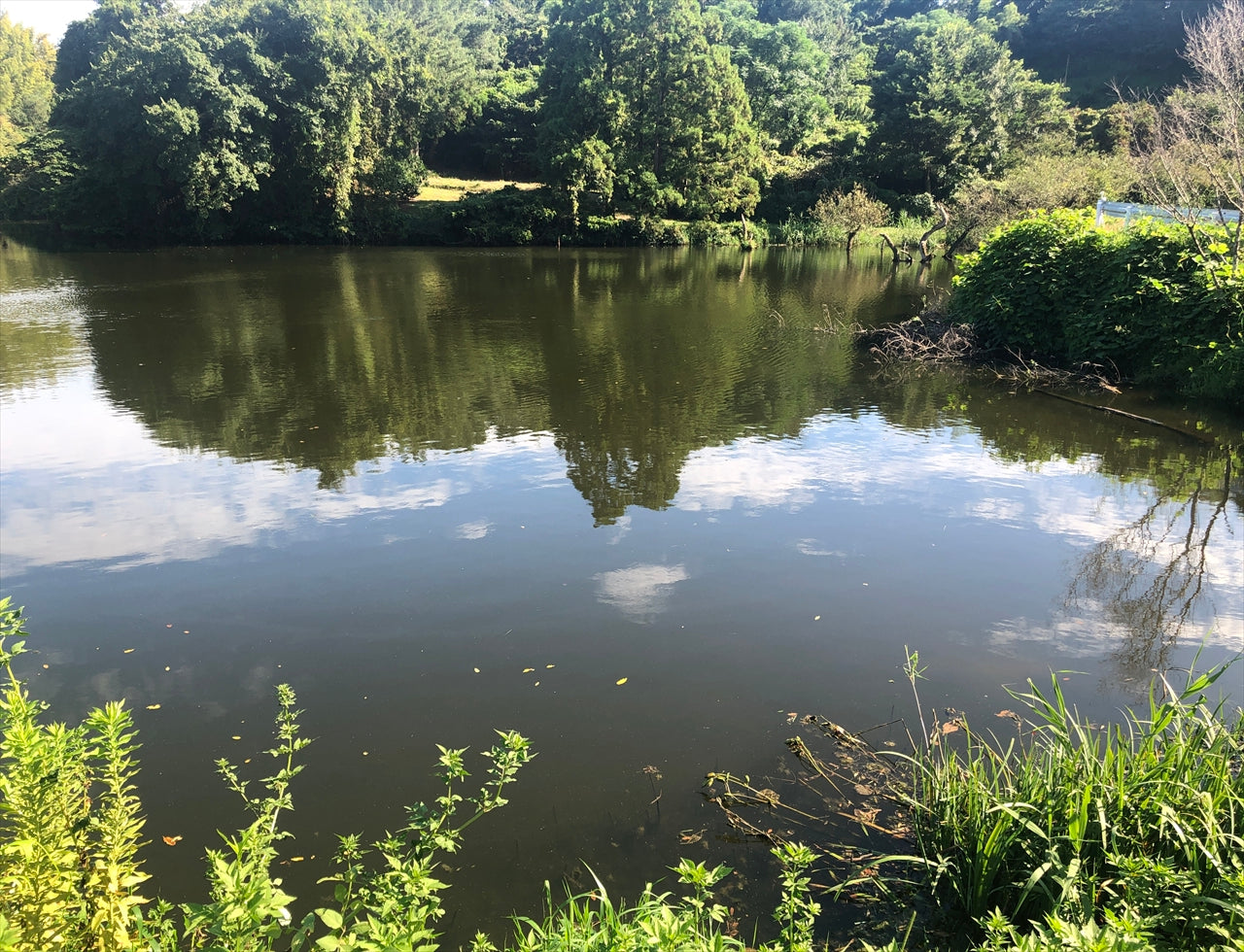 ◆池の谷溜池