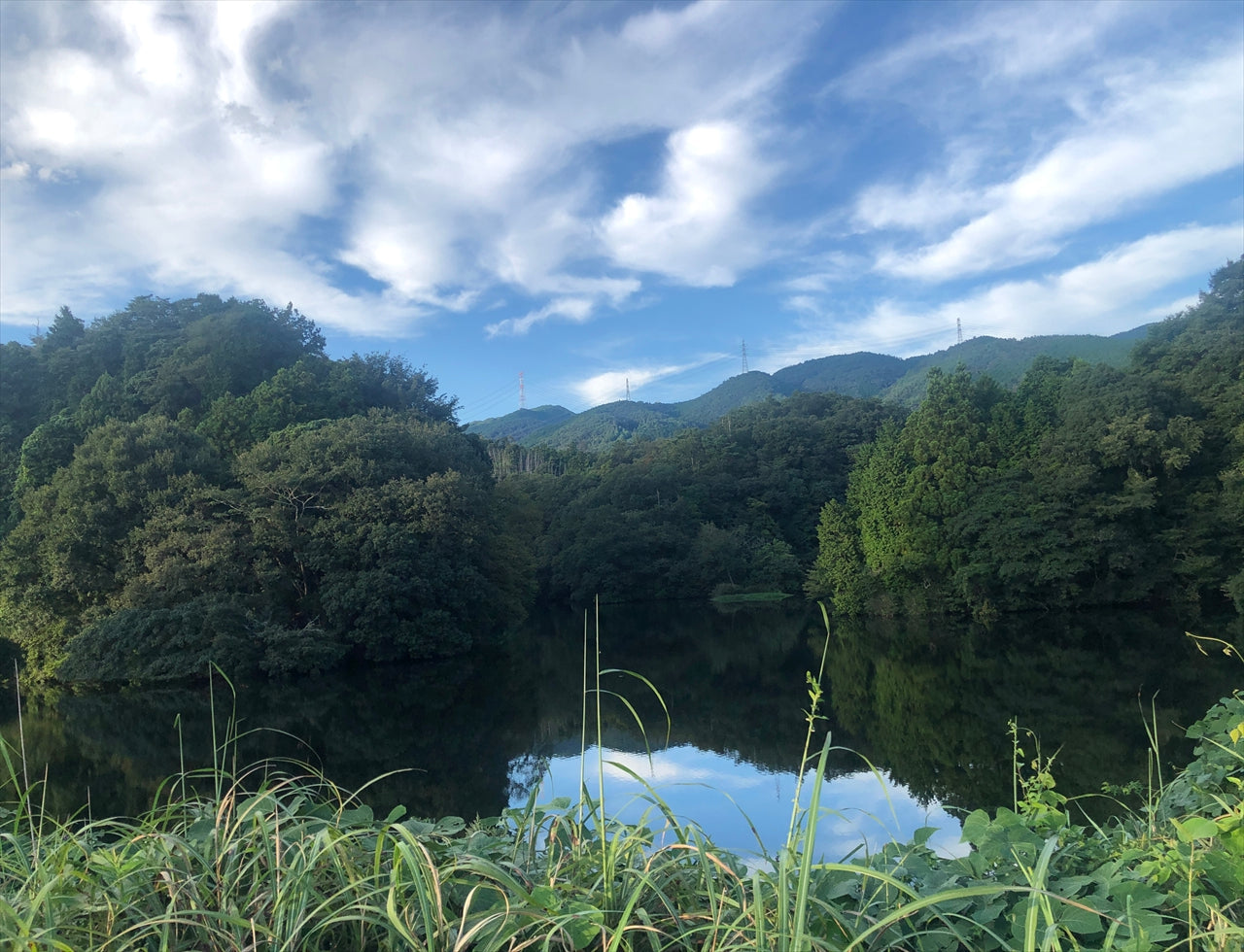 ◆山郷大池