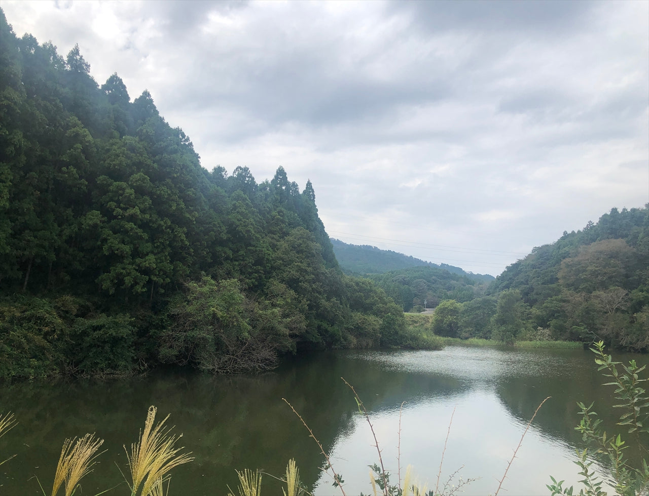◆上池（芸濃町楠原）