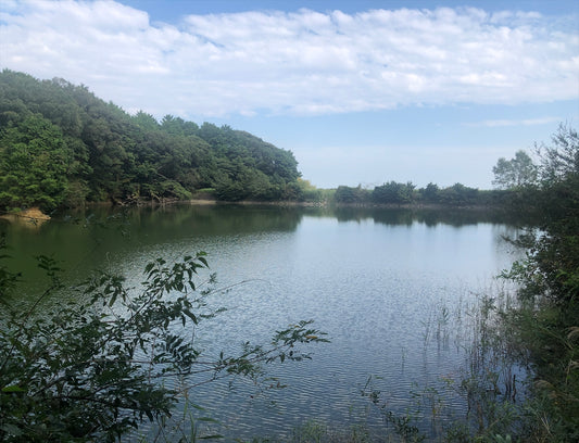 里池