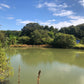 ◆呑谷池