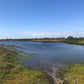 ◆沢池