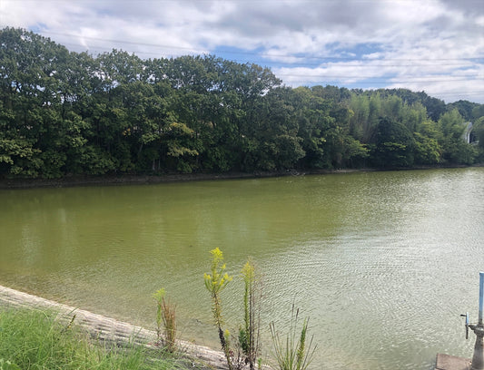 下石野五号墳池