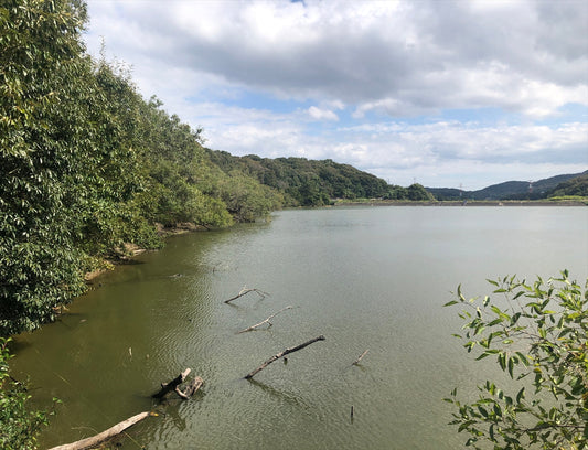 ◆大池（黍田町）