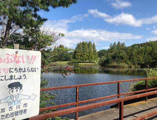 ◆新池（見土呂）