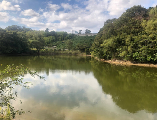 ◆大池（淡河）