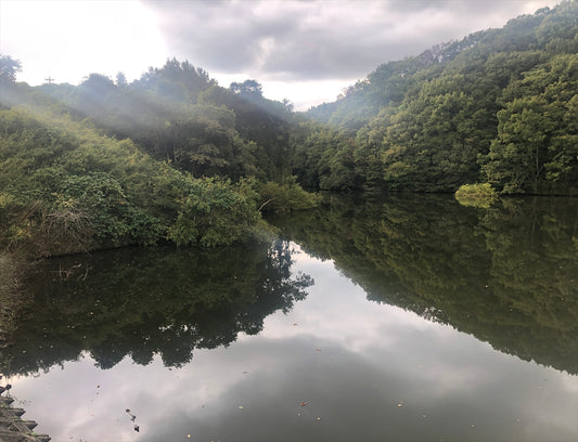 西谷池（中田）