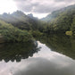 ◆西谷池（中田）