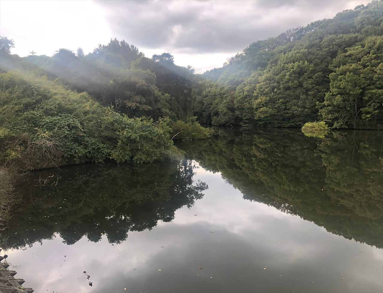 ◆西谷池（中田）