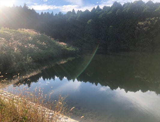 大池（水口町杣中）