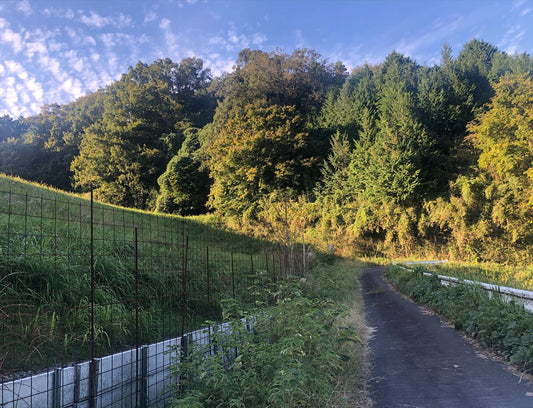 ◆南山トンネル上池