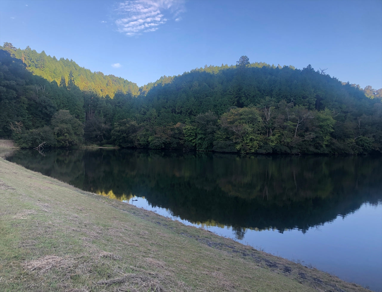 ◆大沢池