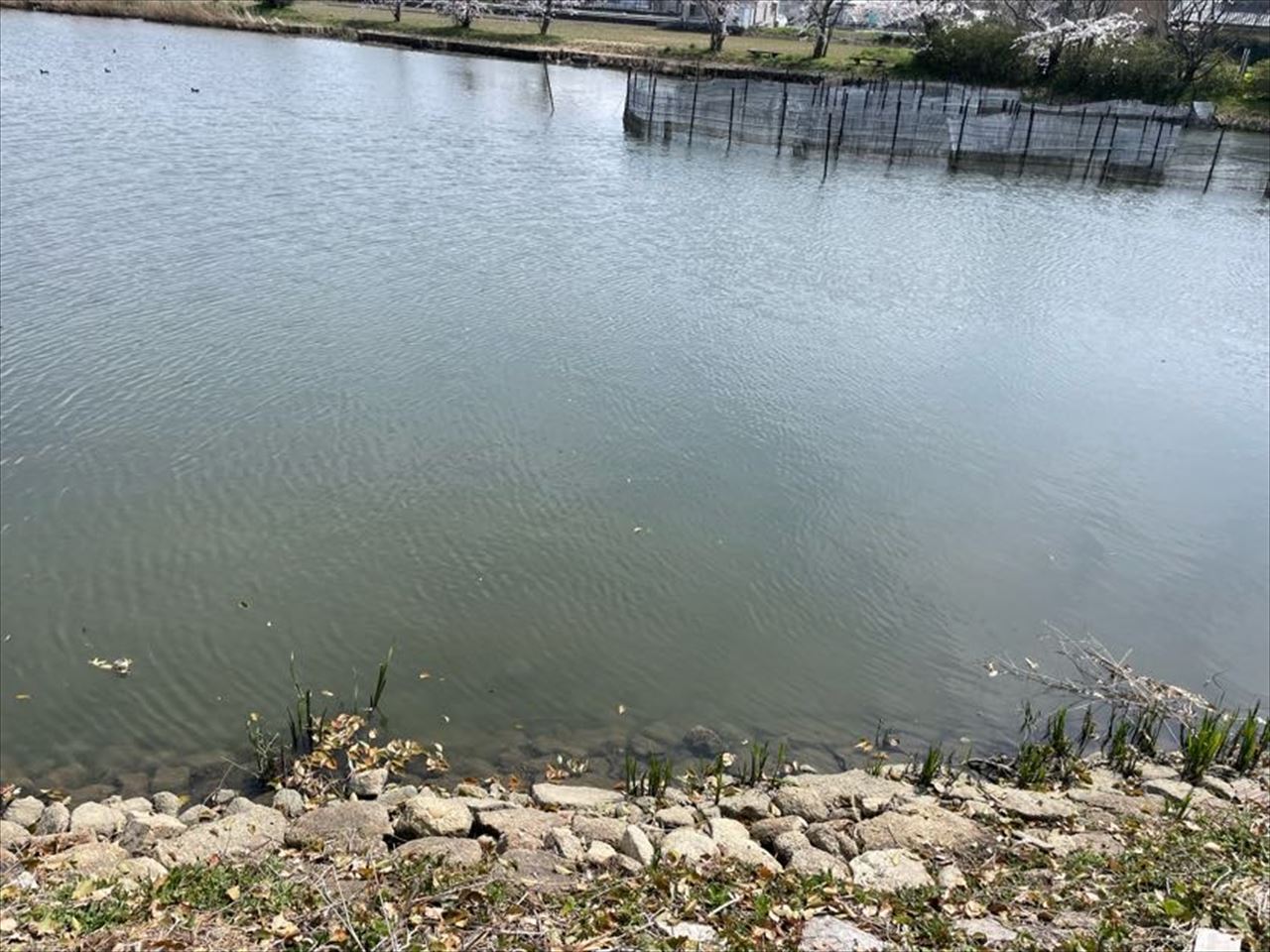 ◆入江橋池