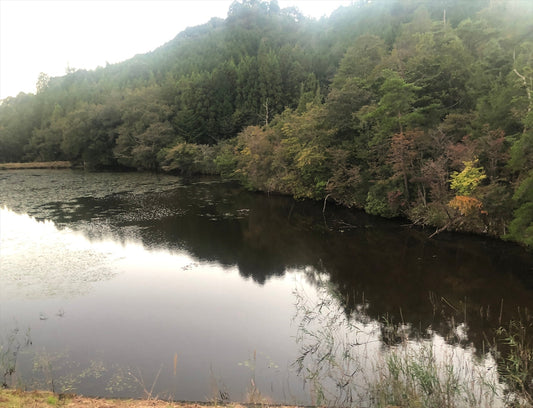 ◆真木山神社北池