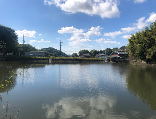 青谷池