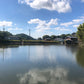◆青谷池