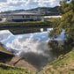 ◆赤坂下池（勢野）