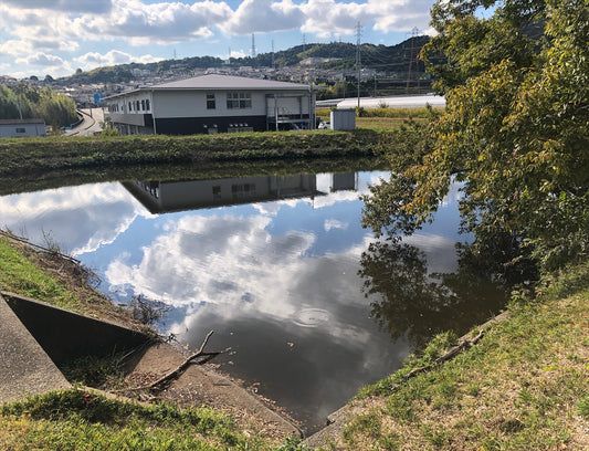◆赤坂下池（勢野）