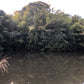 ◆白山神社上池