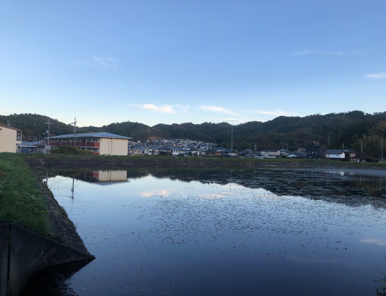 ◆野本池