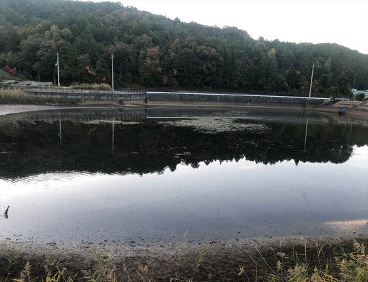 大池(園部町城南町)