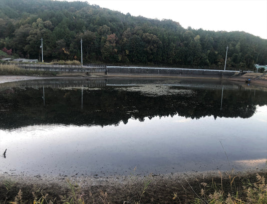 ◆大池(園部町城南町)