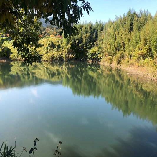 ◆新池（秋葉台）