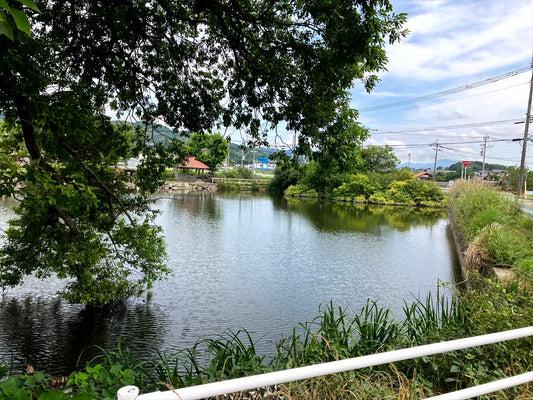 ◆池田下溜池