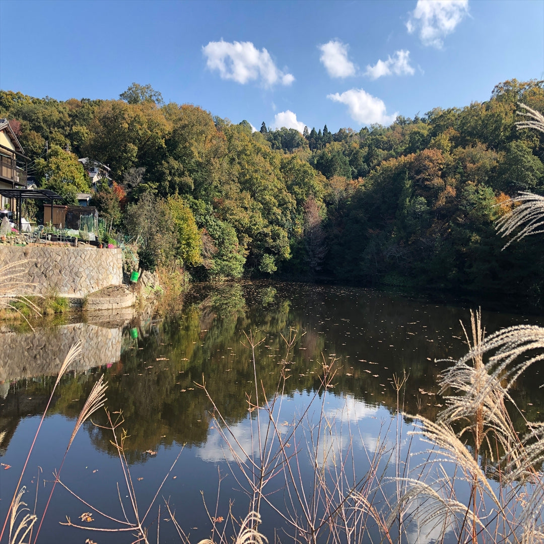 ◆大湯ヶ谷池