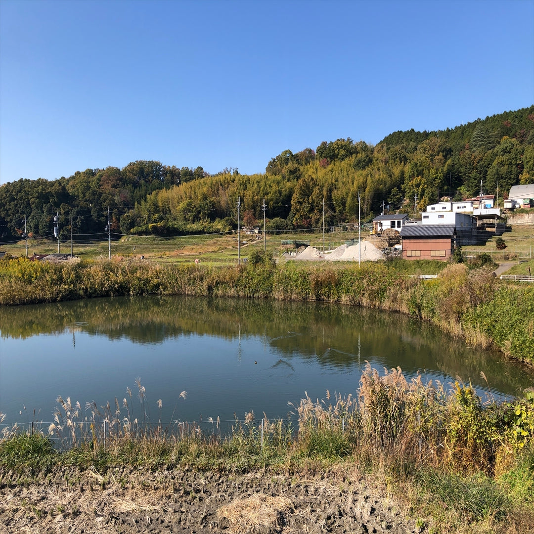 ◆川上町池
