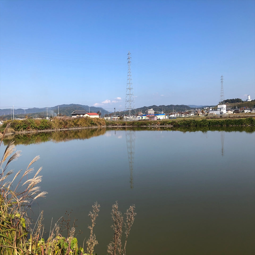 ◆小林池