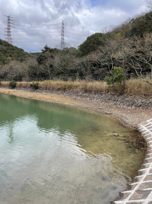 ◆中池（志方町廣尾）