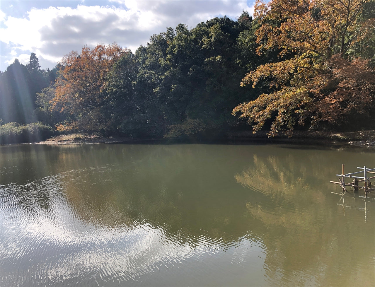 ◆鬼池(千歳)